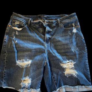 Judy Blues Jean Shorts
